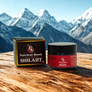 Nutrient Boost Shilajit — Ancient Mineral Complex for Energy, Inflammation & Gut-Immune Health