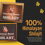 Nutrient Boost Shilajit — Ancient Mineral Complex for Energy, Inflammation & Gut-Immune Health