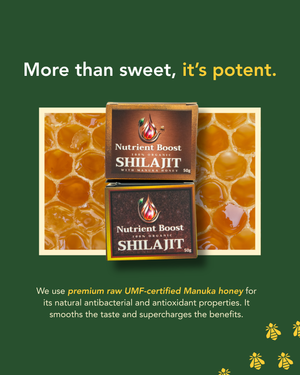 Nutrient Boost Shilajit — Ancient Mineral Complex for Energy, Inflammation & Gut-Immune Health