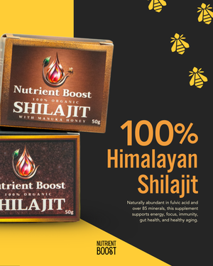 Nutrient Boost Shilajit — Ancient Mineral Complex for Energy, Inflammation & Gut-Immune Health