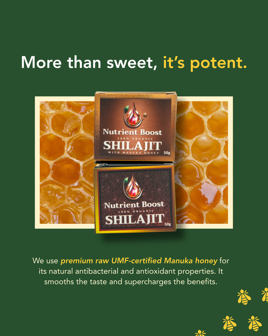 Nutrient Boost Shilajit — Ancient Mineral Complex for Energy, Inflammation & Gut-Immune Health